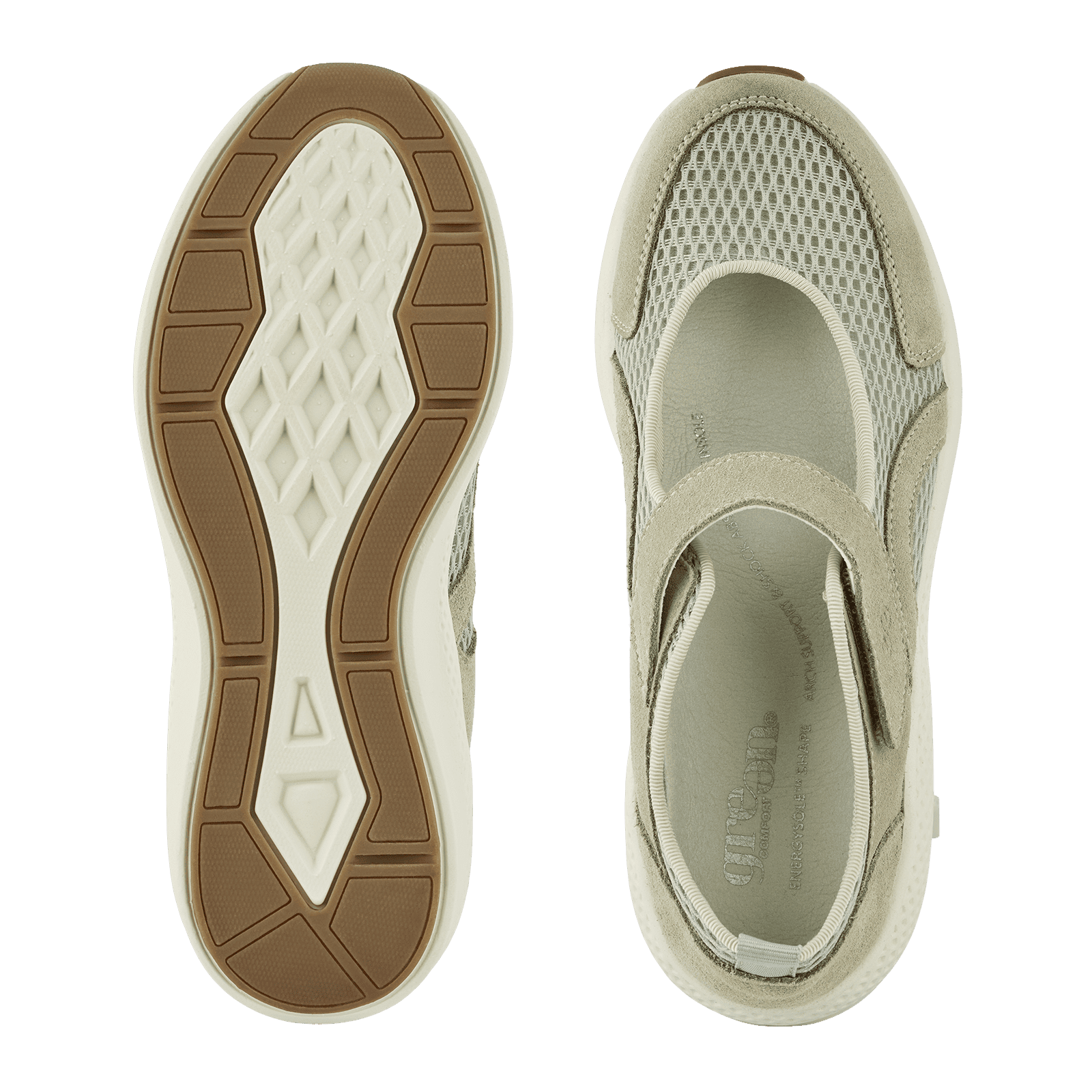 DOLPHIN DAGMAR - SAGE